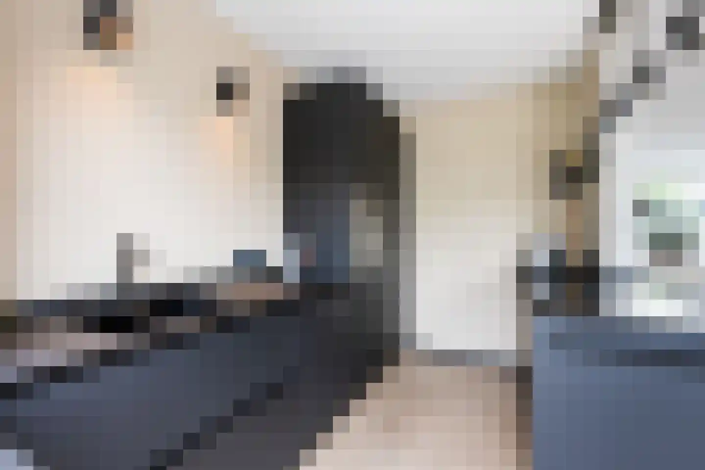 Lijsterbesstraat 12 De Zilk thumbnail 7