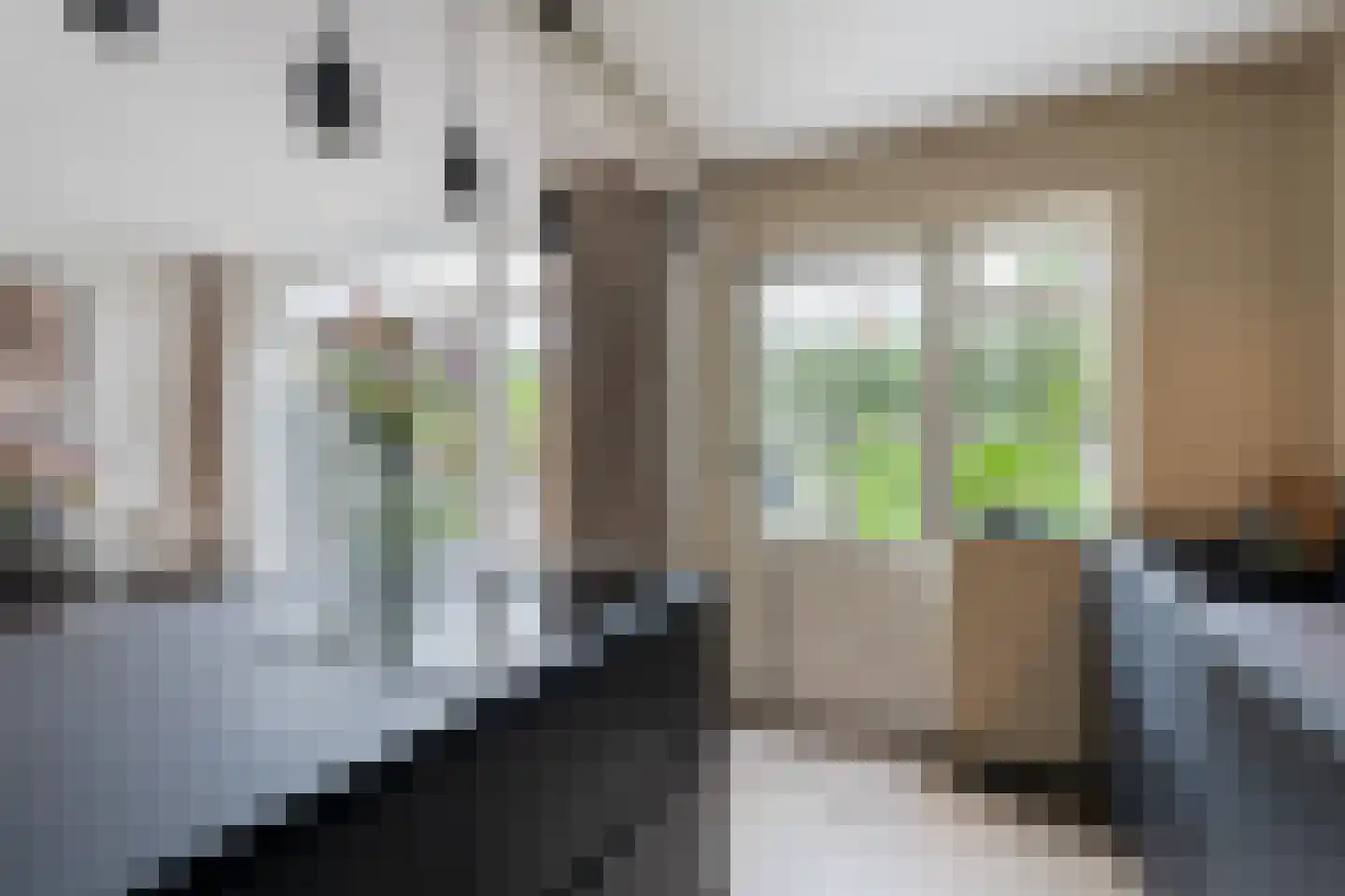 Lijsterbesstraat 12 De Zilk thumbnail 8