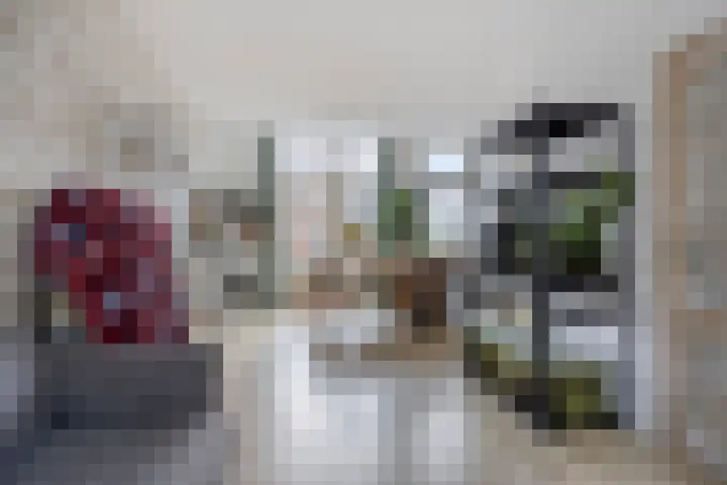 Lijsterbesstraat 13 Gouda thumbnail 10