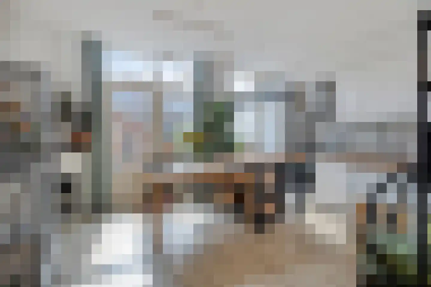 Lijsterbesstraat 13 Gouda thumbnail 12