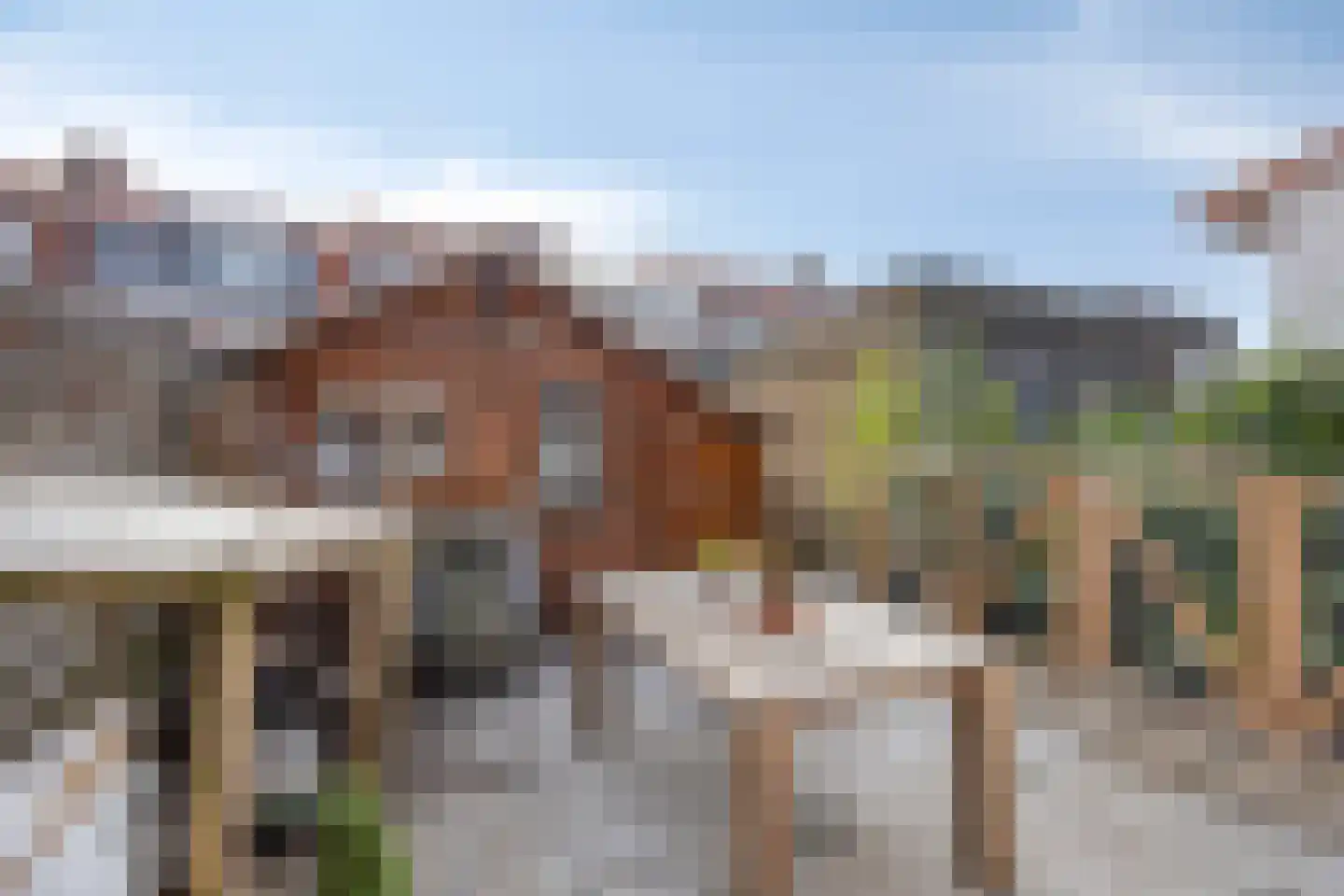 Lijsterbesstraat 13 Gouda thumbnail 14