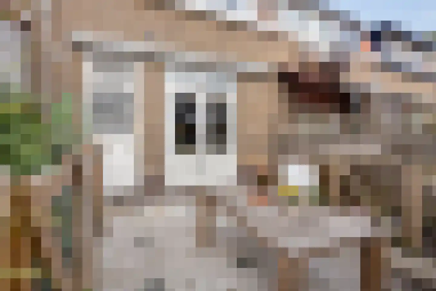 Lijsterbesstraat 13 Gouda thumbnail 15