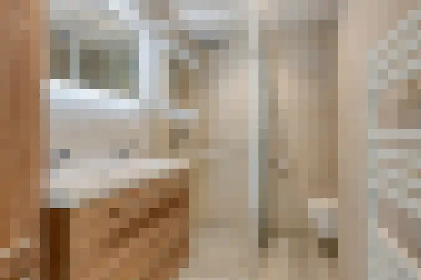 Lijsterbesstraat 13 Gouda thumbnail 4