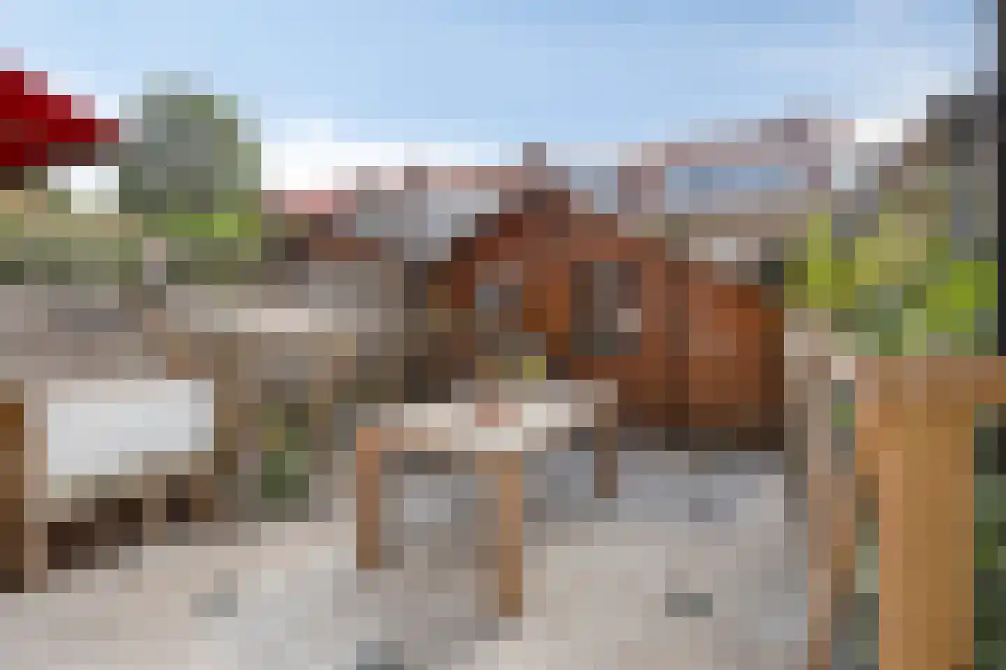 Lijsterbesstraat 13 Gouda thumbnail 5