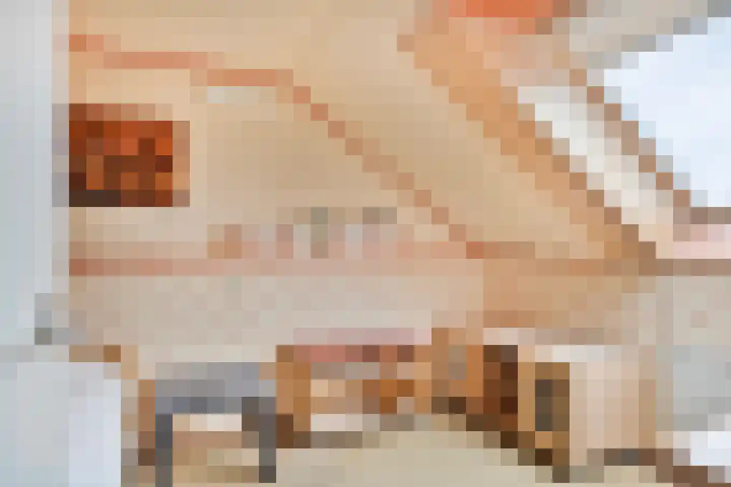 Lijsterbesstraat 13 Heteren thumbnail 33