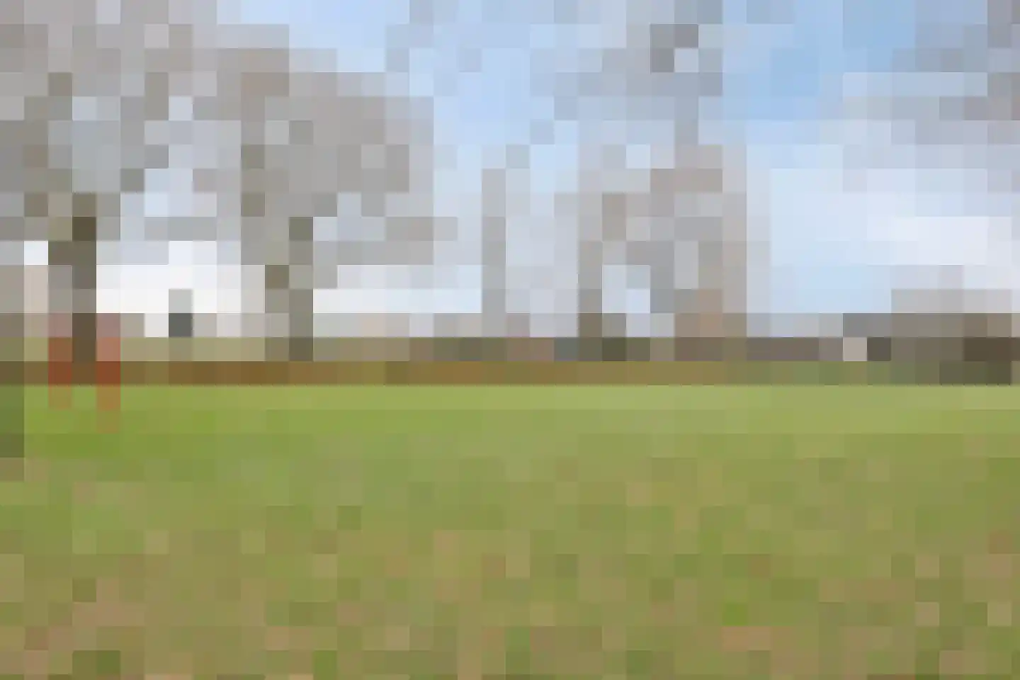 Lijsterbesstraat 13 Heteren thumbnail 40