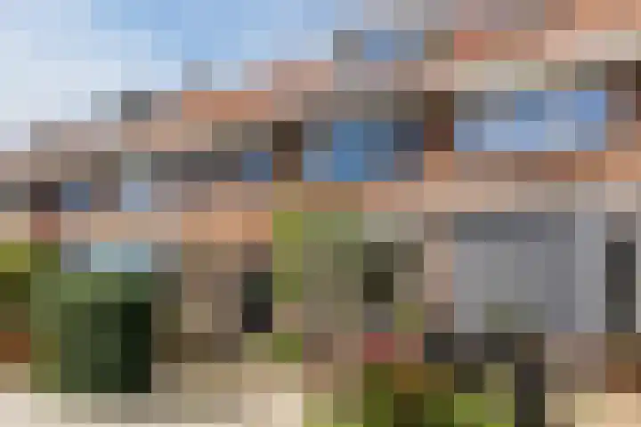 Lijsterbesstraat 13 Zaandam thumbnail 32