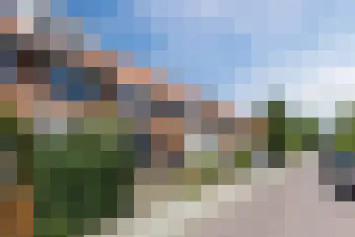 Lijsterbesstraat 13 Zaandam thumbnail 33