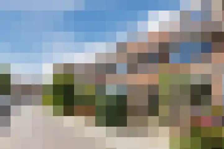 Lijsterbesstraat 13 Zaandam thumbnail 34