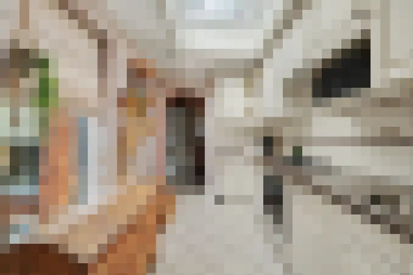 Lijsterbesstraat 14 Nieuwerkerk thumbnail 10