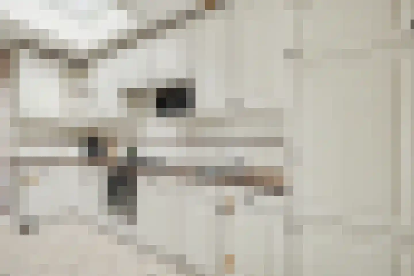 Lijsterbesstraat 14 Nieuwerkerk thumbnail 11