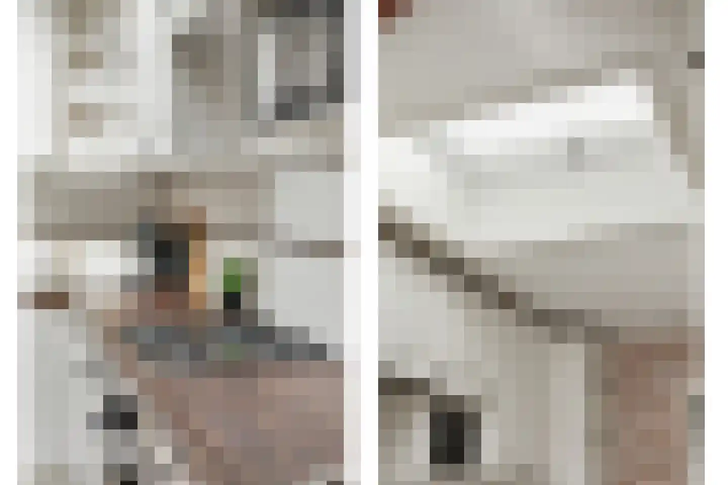 Lijsterbesstraat 14 Nieuwerkerk thumbnail 12