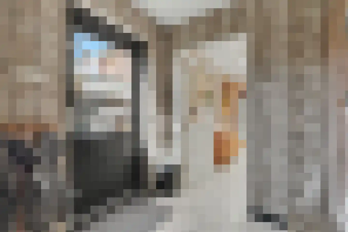 Lijsterbesstraat 14 Nieuwerkerk thumbnail 14
