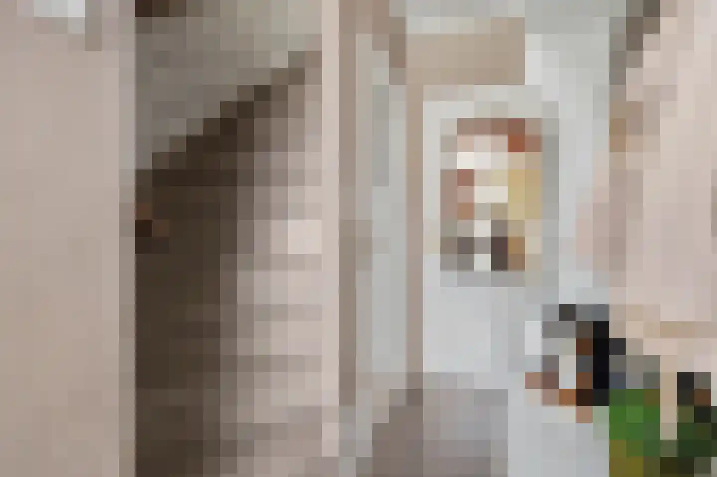Lijsterbesstraat 14 Nieuwerkerk thumbnail 15