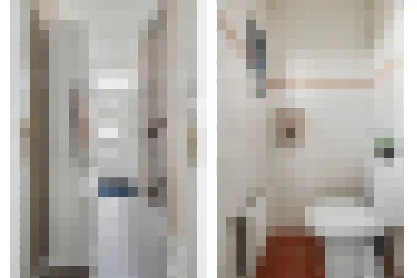Lijsterbesstraat 14 Nieuwerkerk thumbnail 16