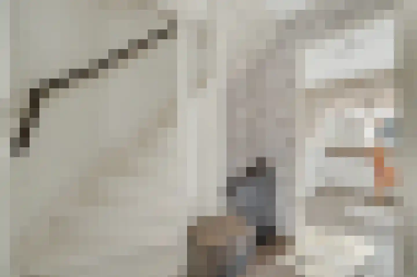 Lijsterbesstraat 14 Nieuwerkerk thumbnail 17