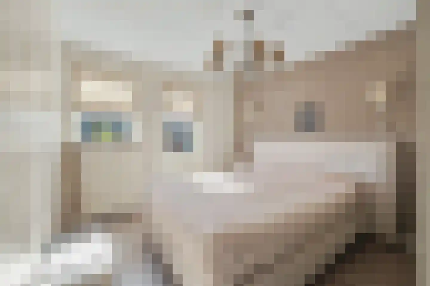 Lijsterbesstraat 14 Nieuwerkerk thumbnail 19