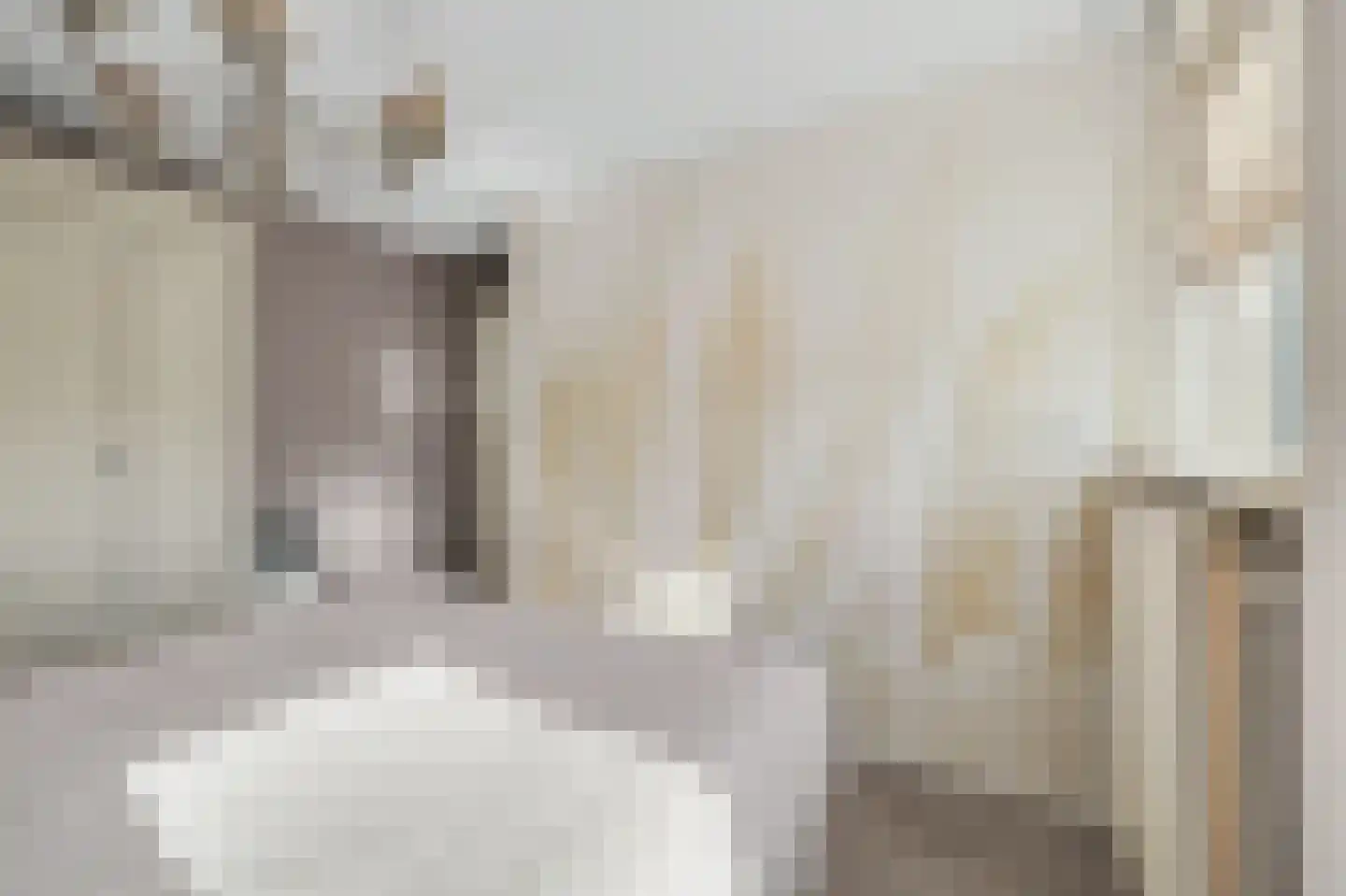 Lijsterbesstraat 14 Nieuwerkerk thumbnail 20