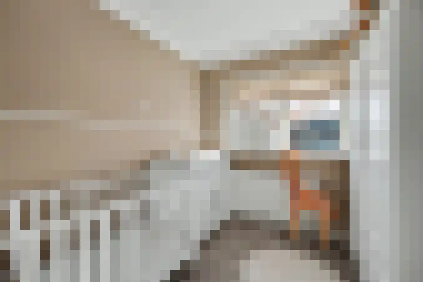 Lijsterbesstraat 14 Nieuwerkerk thumbnail 26