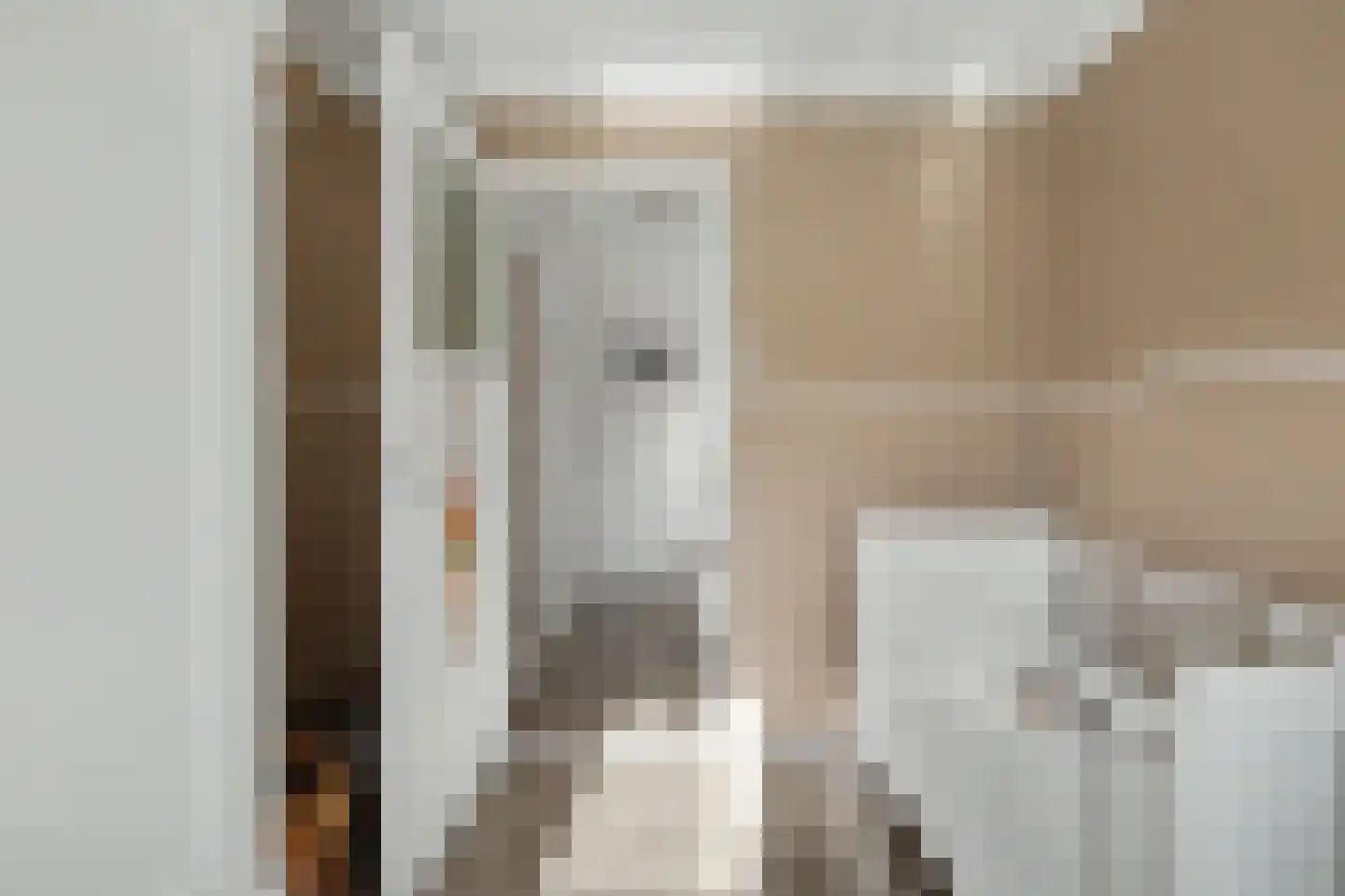 Lijsterbesstraat 14 Nieuwerkerk thumbnail 27