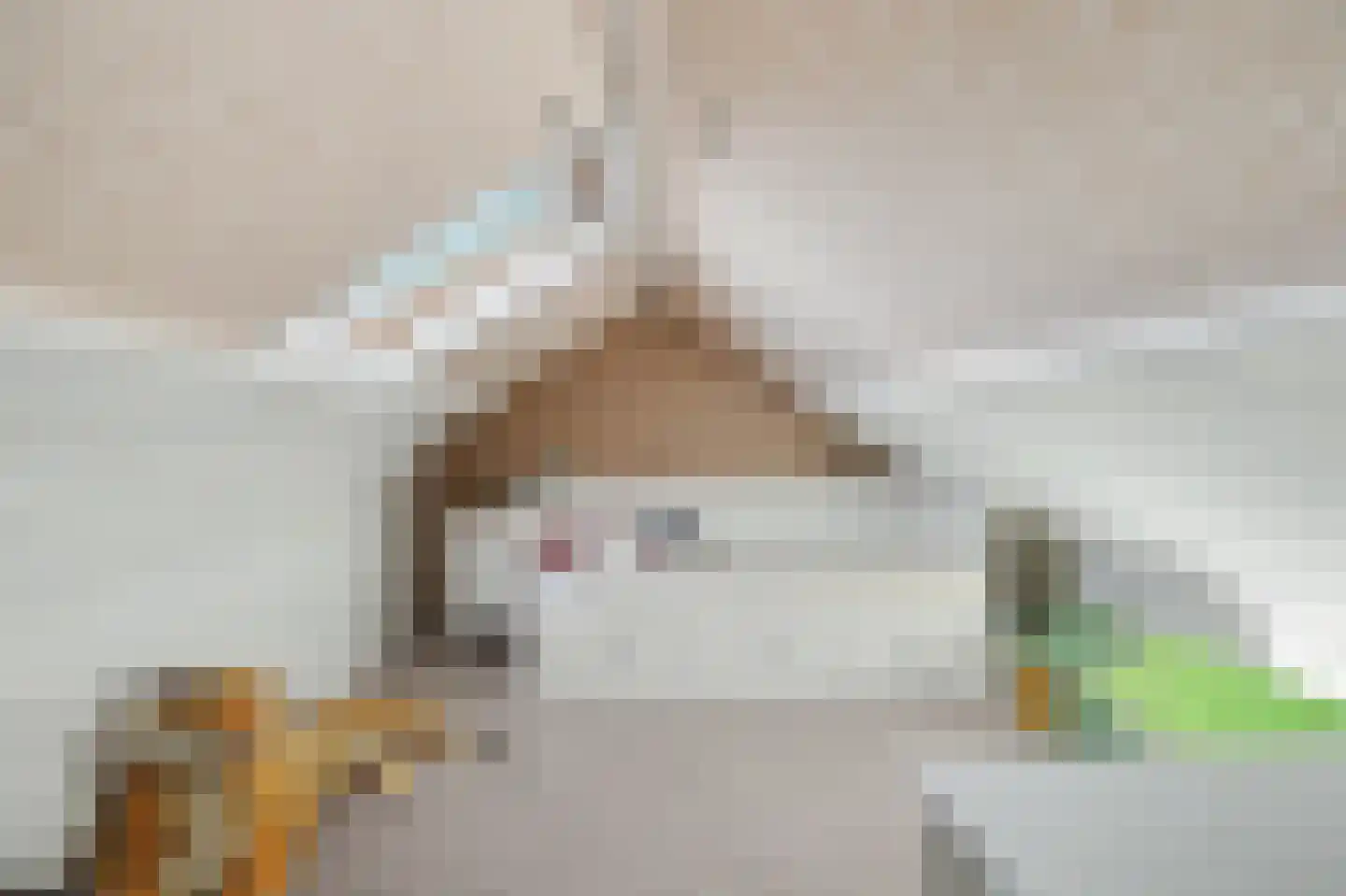 Lijsterbesstraat 14 Nieuwerkerk thumbnail 28