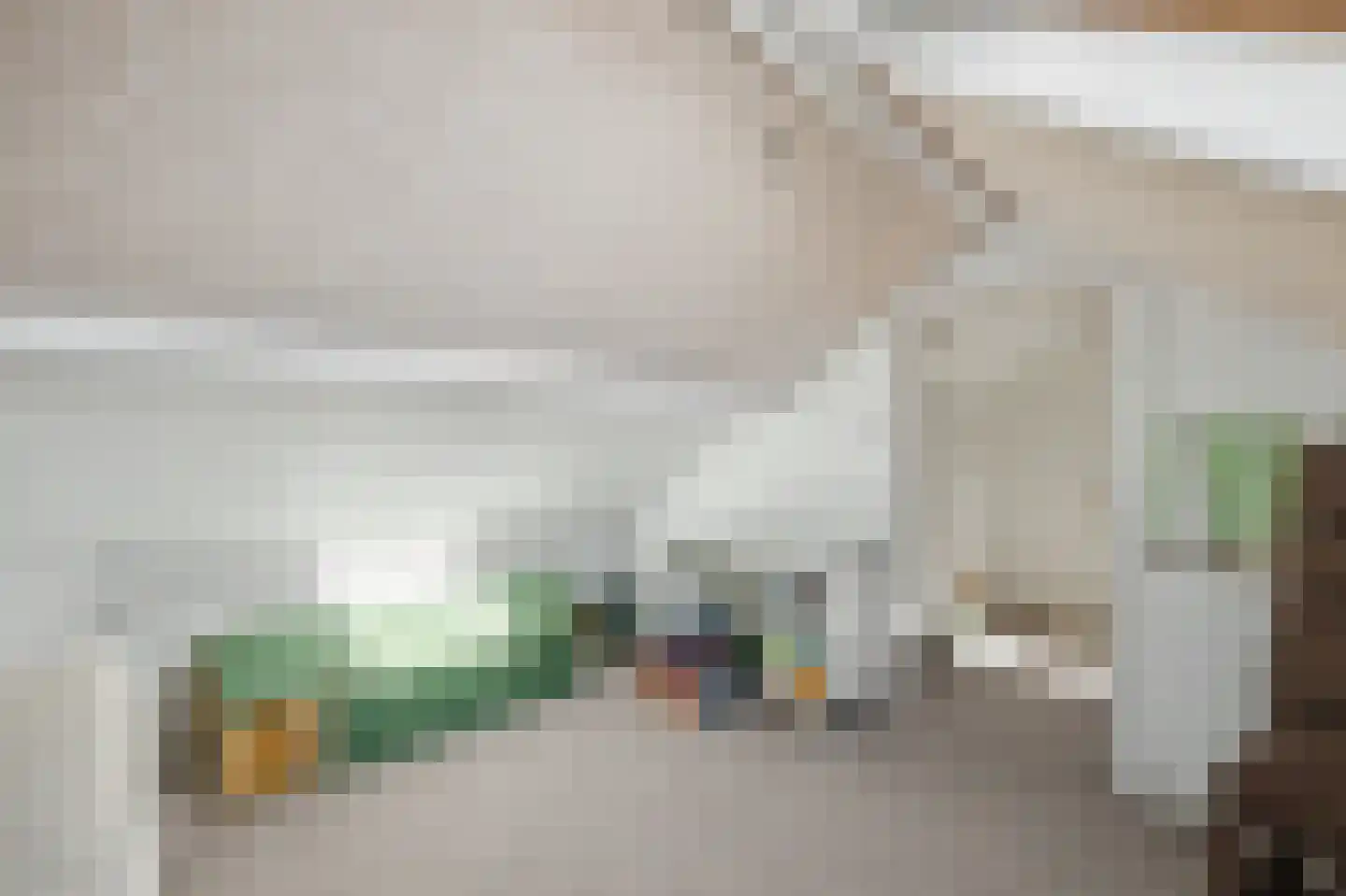 Lijsterbesstraat 14 Nieuwerkerk thumbnail 29