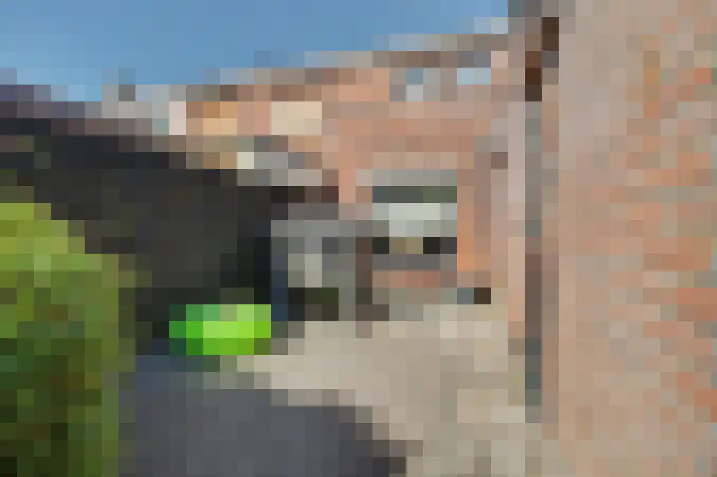 Lijsterbesstraat 14 Nieuwerkerk thumbnail 31