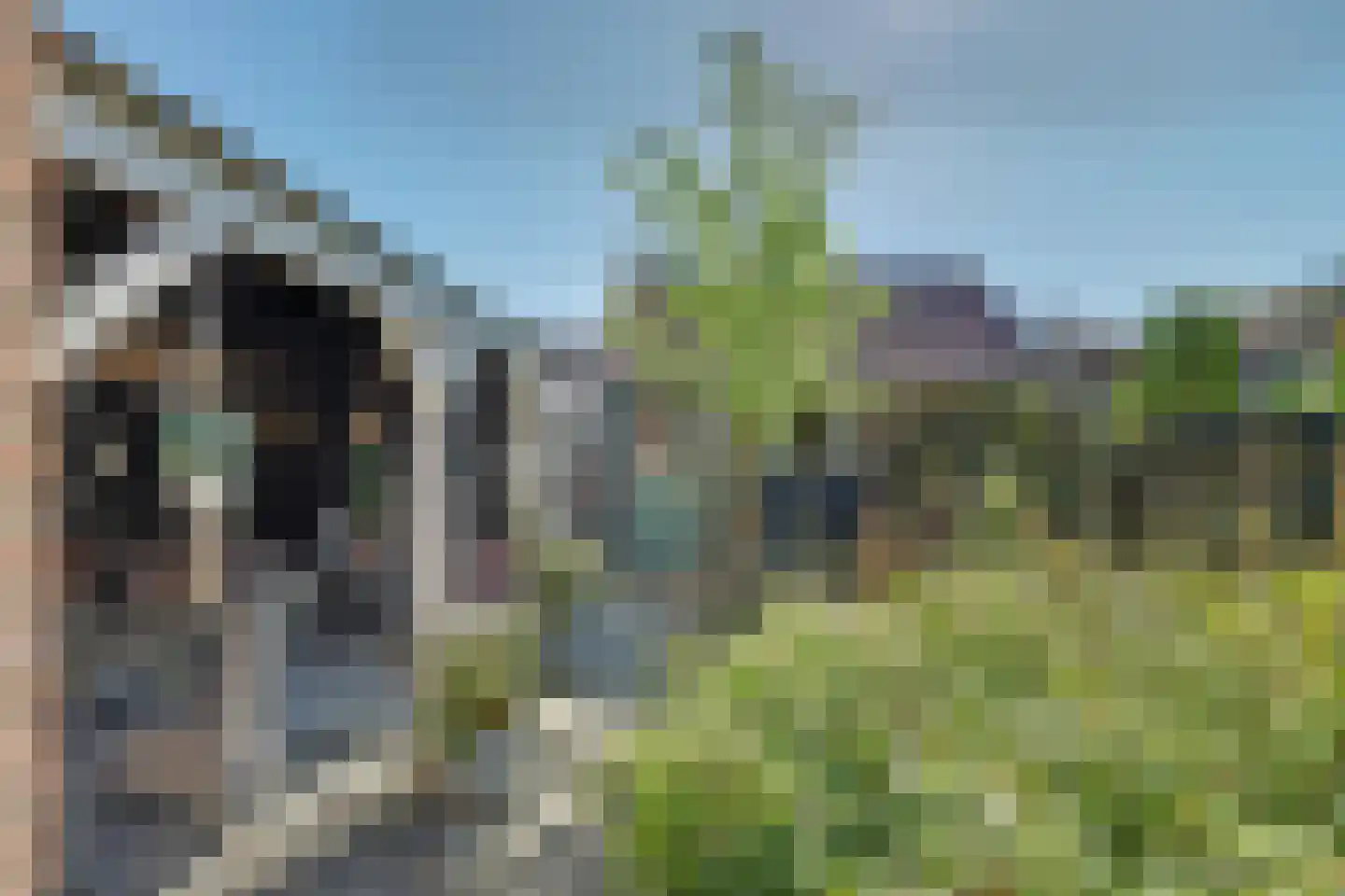 Lijsterbesstraat 14 Nieuwerkerk thumbnail 33
