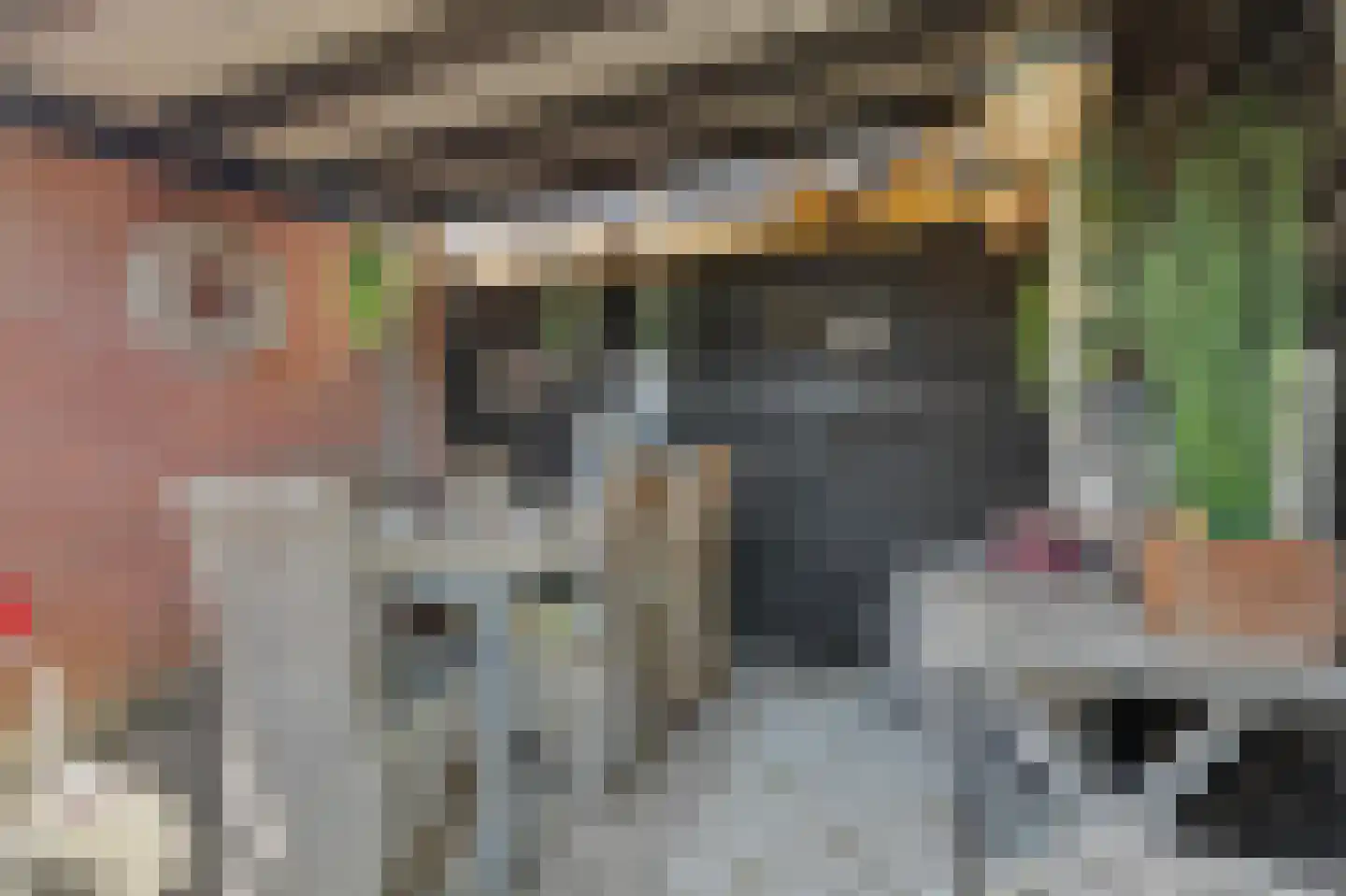 Lijsterbesstraat 14 Nieuwerkerk thumbnail 34