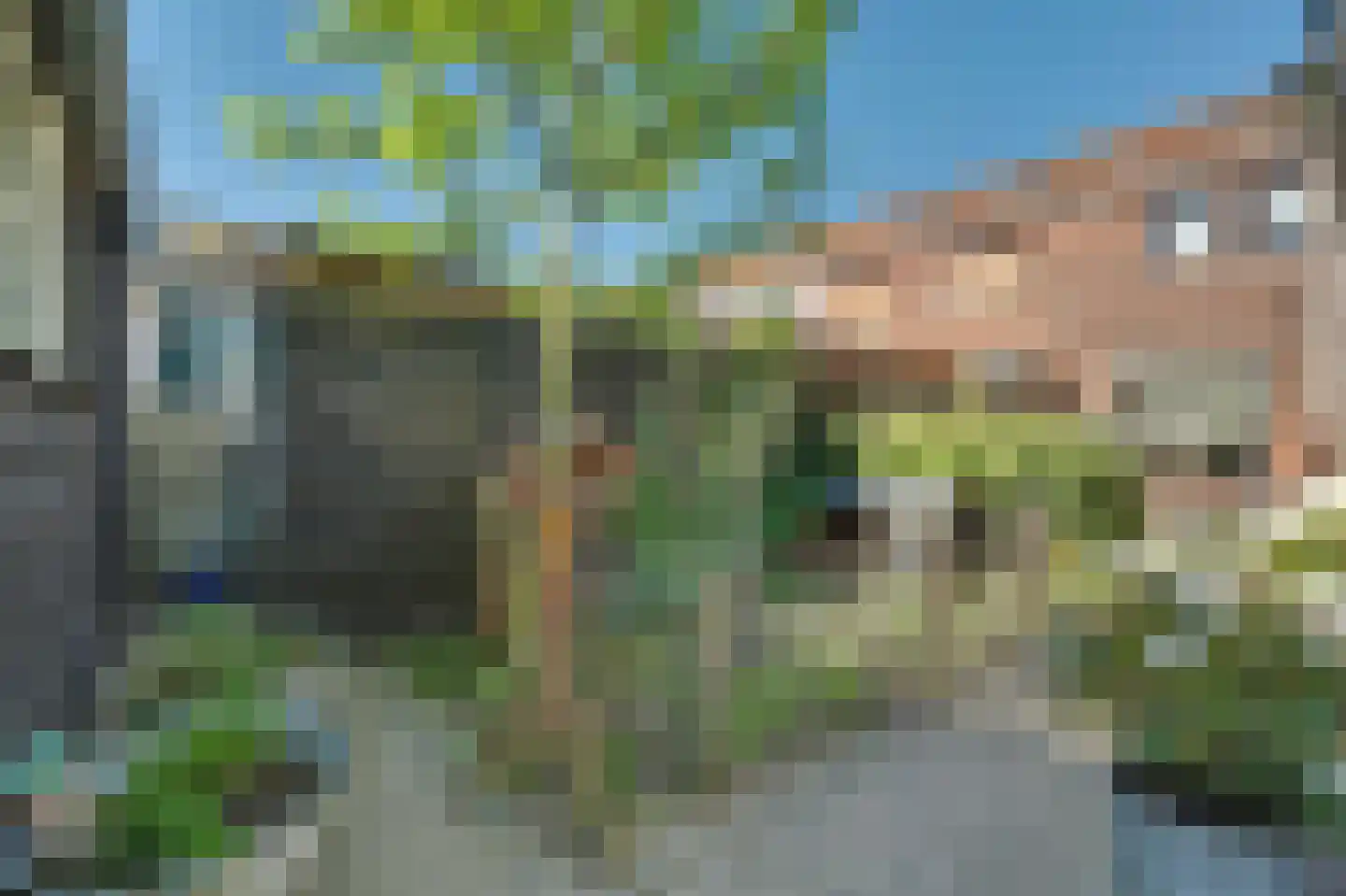 Lijsterbesstraat 14 Nieuwerkerk thumbnail 36