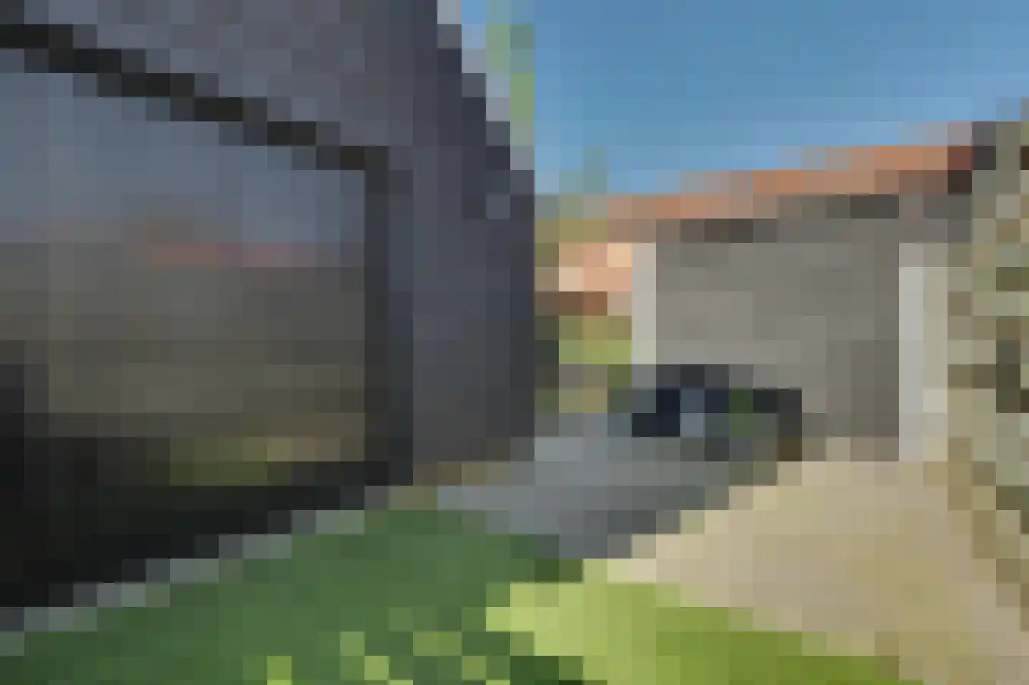 Lijsterbesstraat 14 Nieuwerkerk thumbnail 38