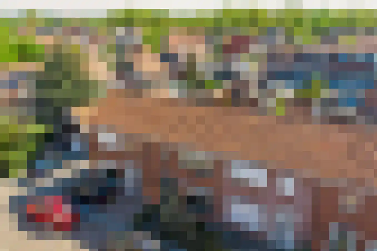 Lijsterbesstraat 14 Nieuwerkerk thumbnail 39