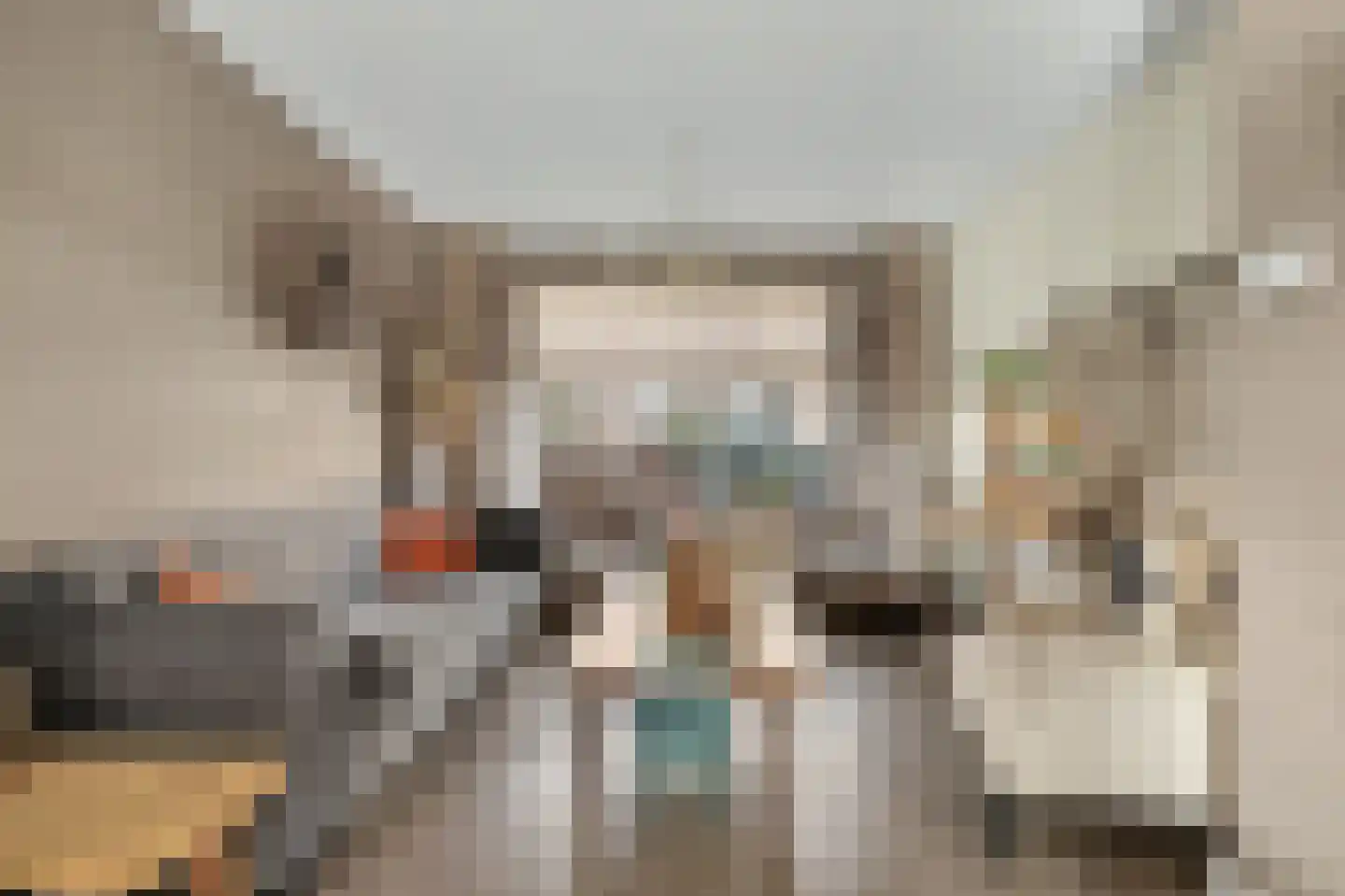 Lijsterbesstraat 14 Nieuwerkerk thumbnail 4
