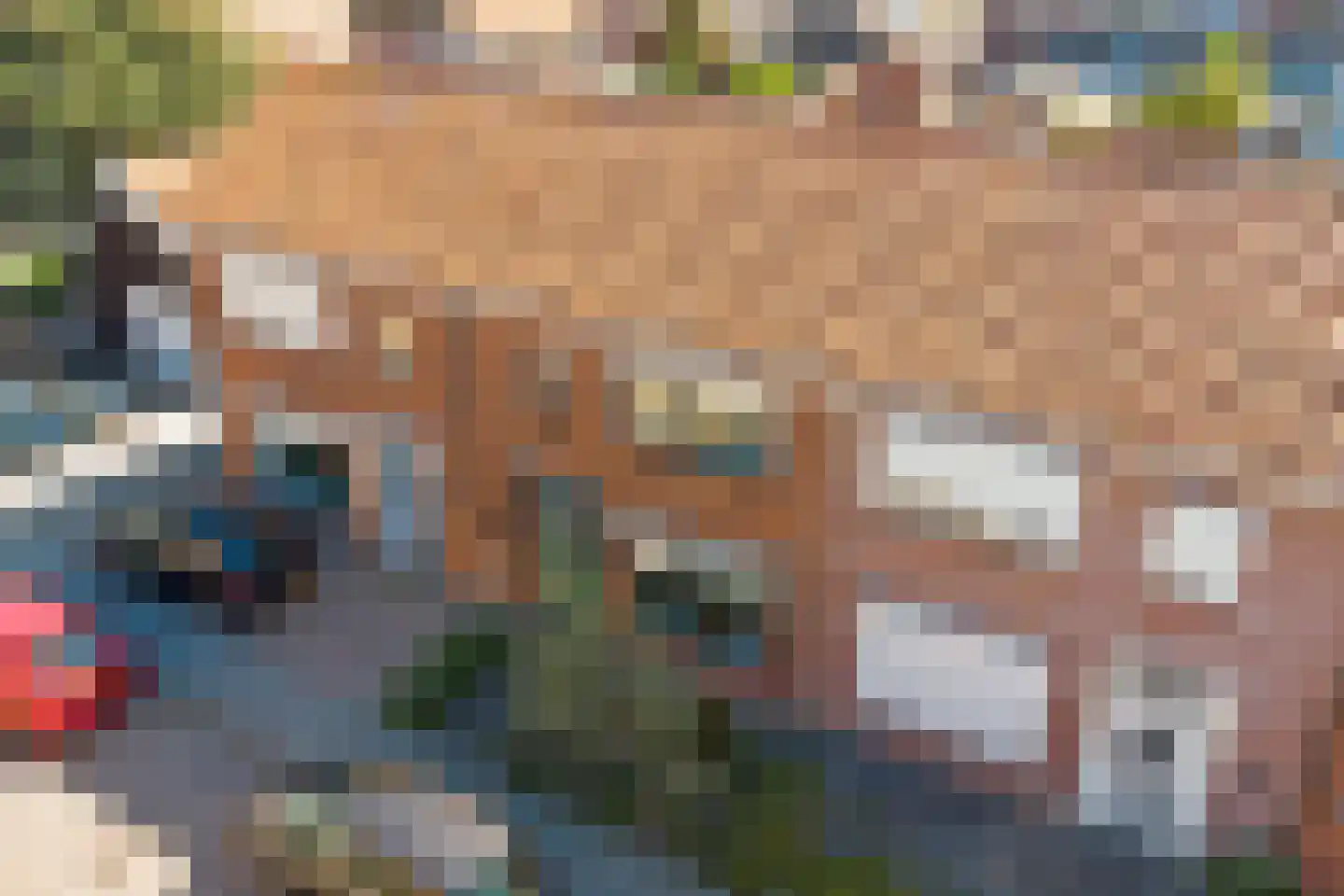 Lijsterbesstraat 14 Nieuwerkerk thumbnail 40