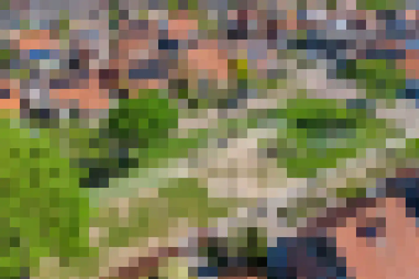 Lijsterbesstraat 14 Nieuwerkerk thumbnail 41