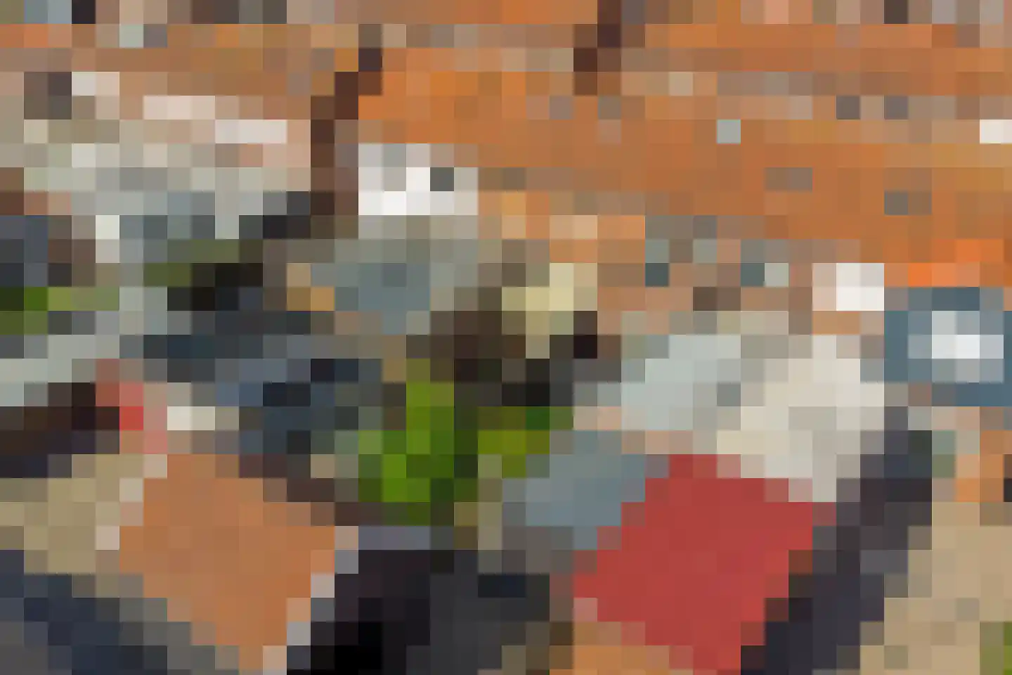 Lijsterbesstraat 14 Nieuwerkerk thumbnail 42