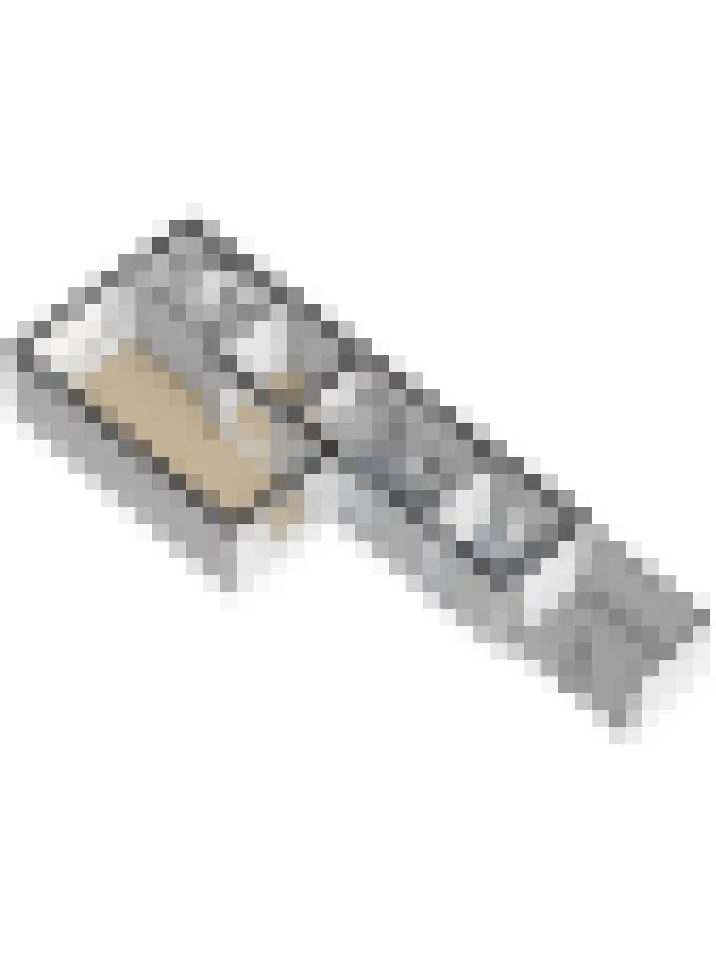 Lijsterbesstraat 14 Nieuwerkerk thumbnail 53