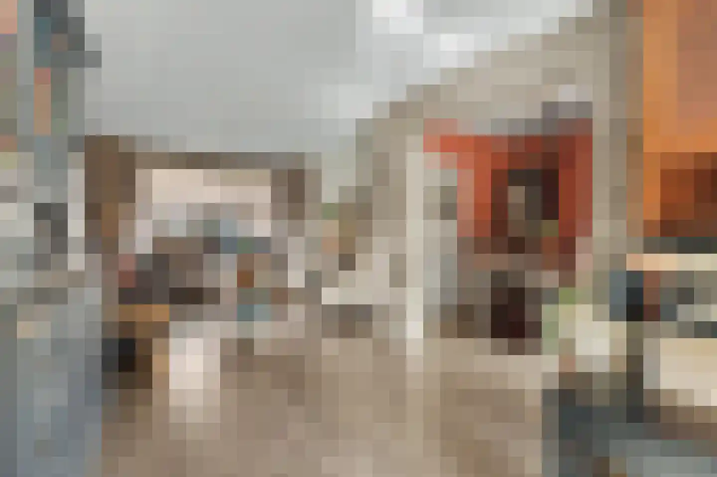 Lijsterbesstraat 14 Nieuwerkerk thumbnail 8
