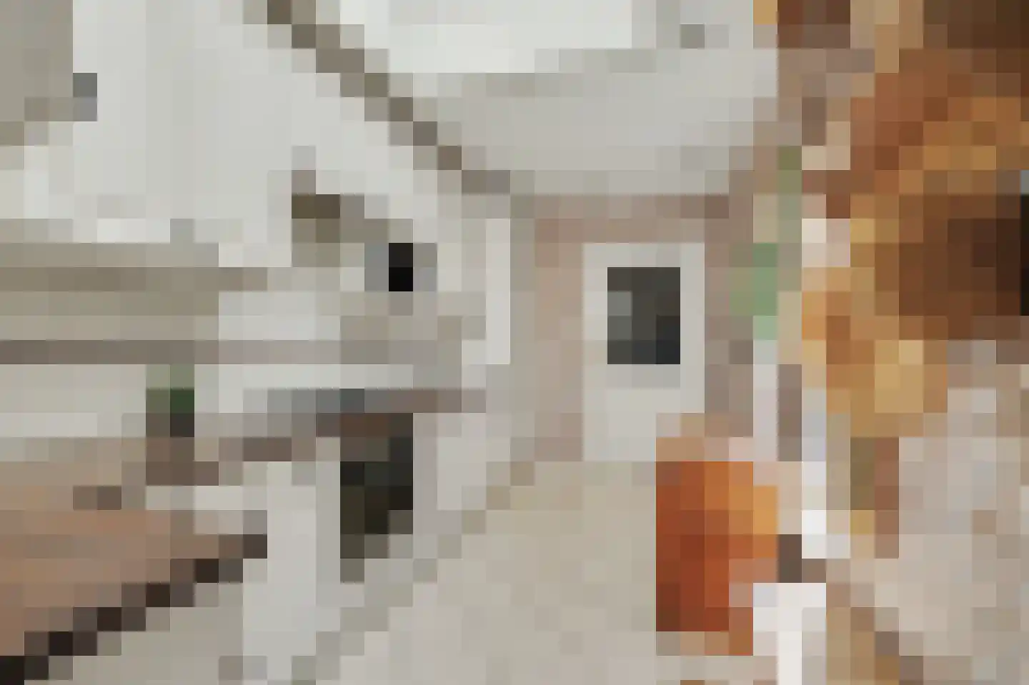 Lijsterbesstraat 14 Nieuwerkerk thumbnail 9