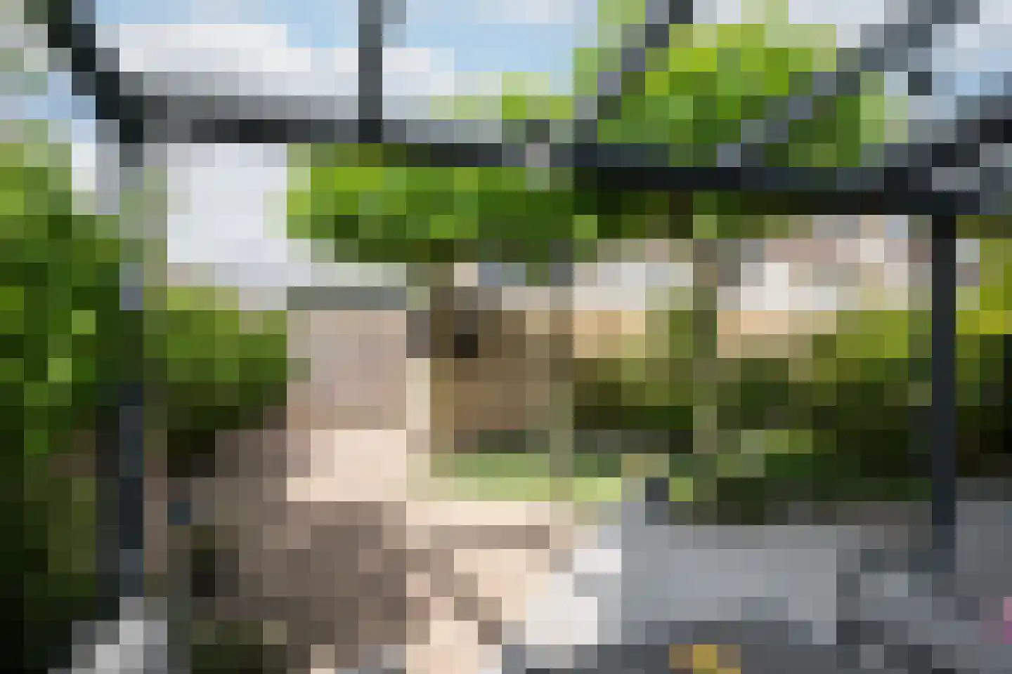 Lijsterbesstraat 14 's-Gravenzande thumbnail 15