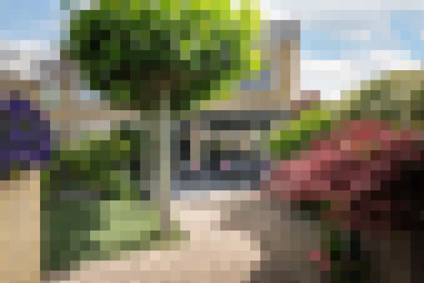 Lijsterbesstraat 14 's-Gravenzande thumbnail 16