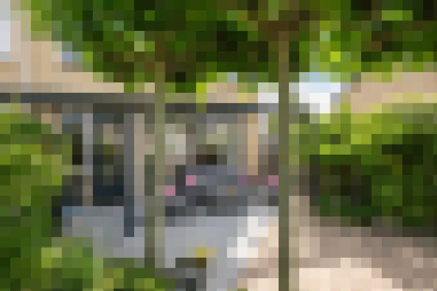 Lijsterbesstraat 14 's-Gravenzande thumbnail 17