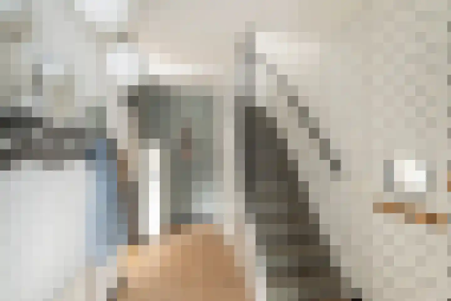 Lijsterbesstraat 14 's-Gravenzande thumbnail 20