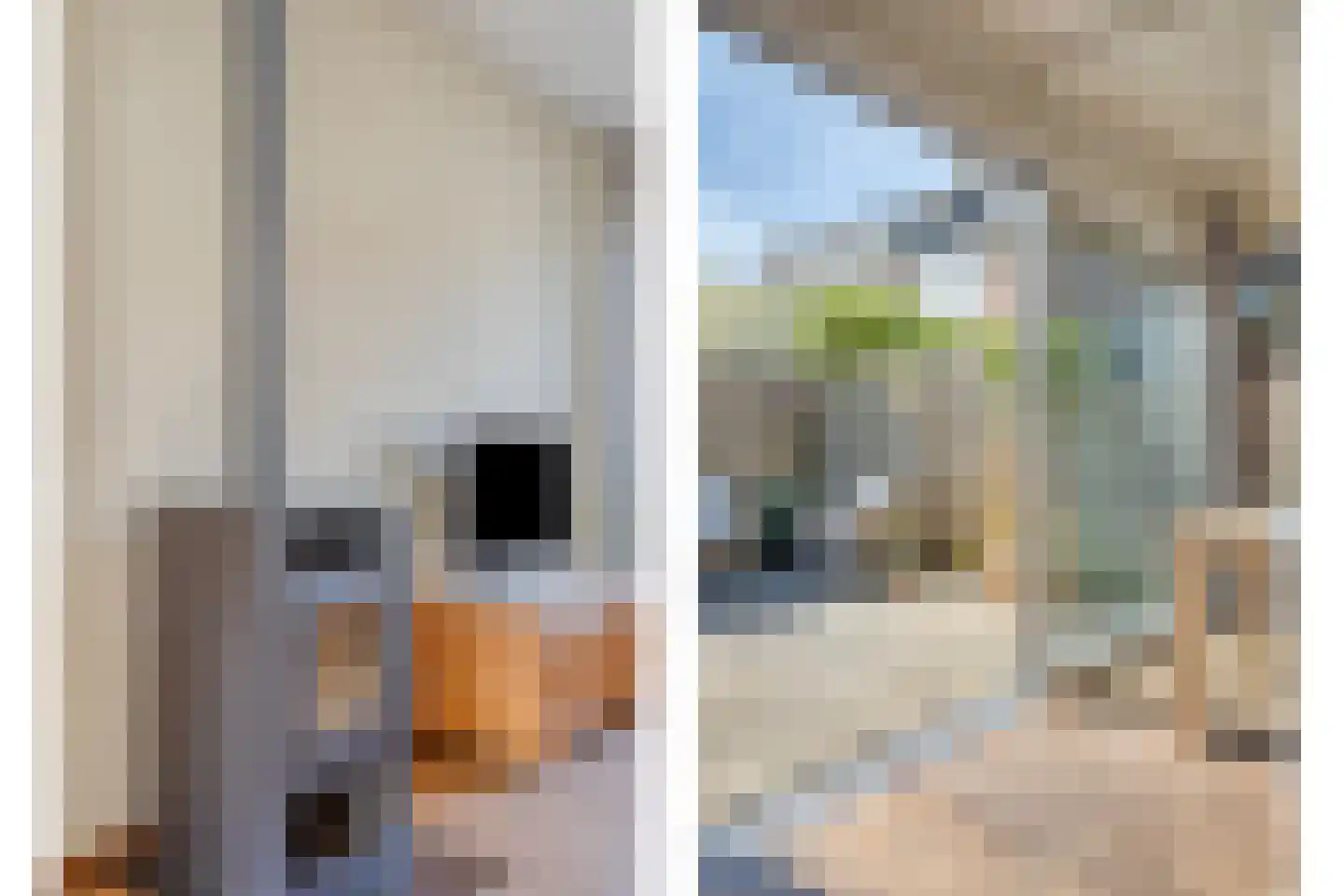 Lijsterbesstraat 15 Beek thumbnail 11
