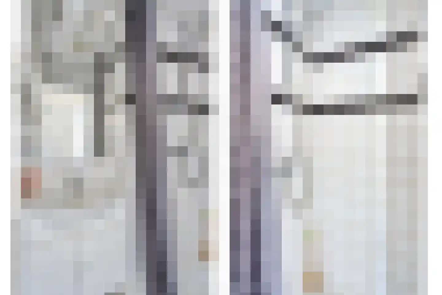 Lijsterbesstraat 15 Beek thumbnail 16