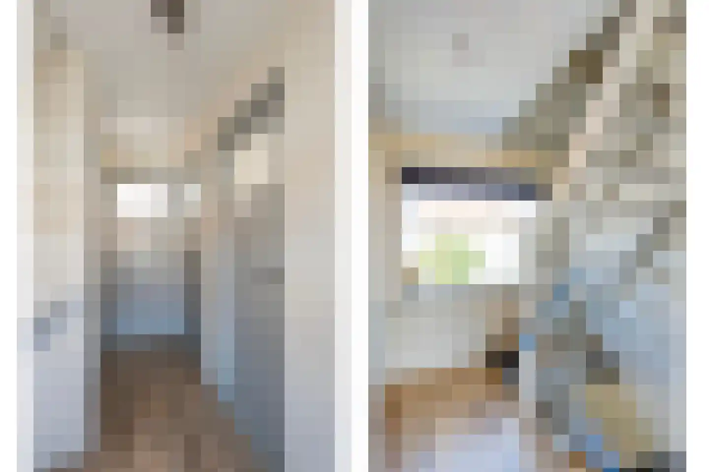 Lijsterbesstraat 15 Beek thumbnail 17