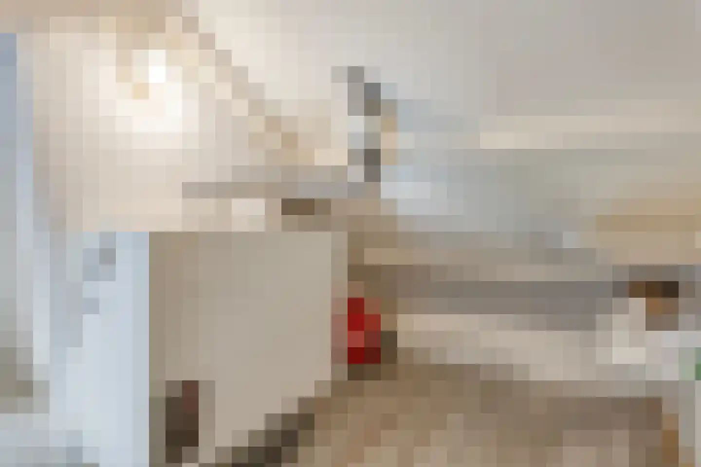 Lijsterbesstraat 15 Beek thumbnail 18