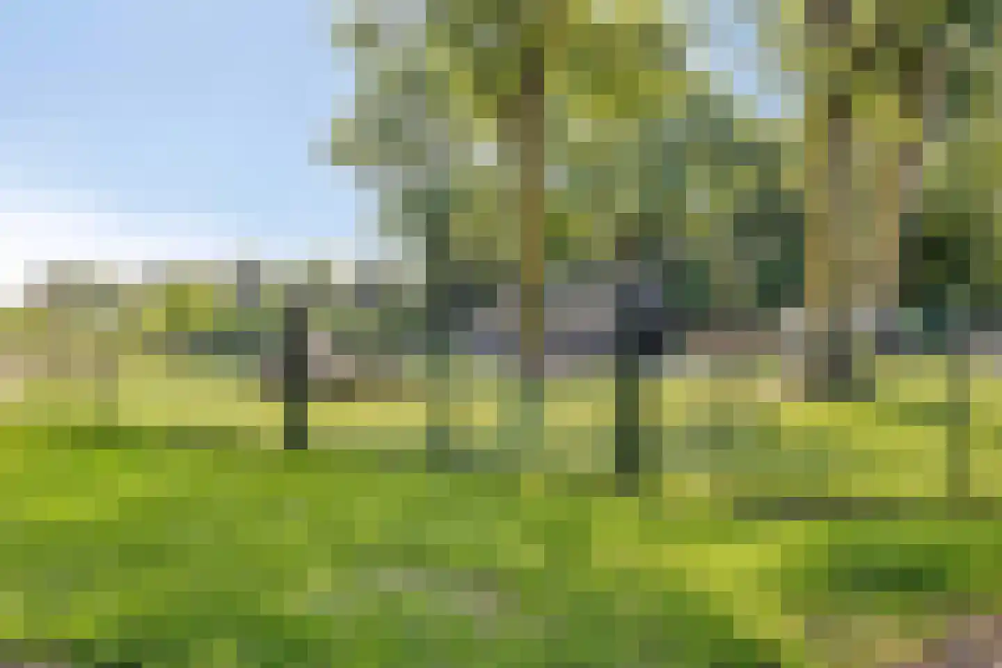Lijsterbesstraat 15 Beek thumbnail 26