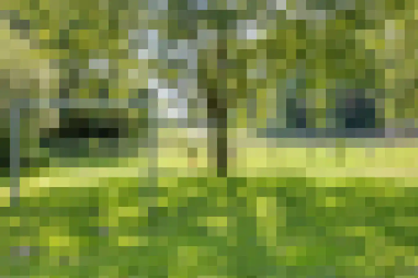 Lijsterbesstraat 15 Beek thumbnail 28