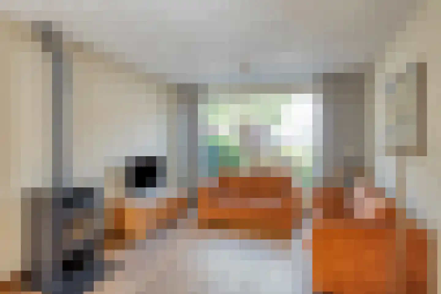 Lijsterbesstraat 15 Beek thumbnail 7